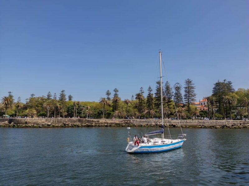 Sailboat Douro River Cruise With Cheese & Tonic Porto - Key Points