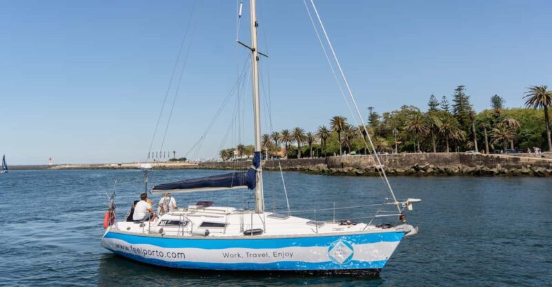 Sailboat Douro River Cruise With Cheese & Tonic Porto - Inclusions and Amenities