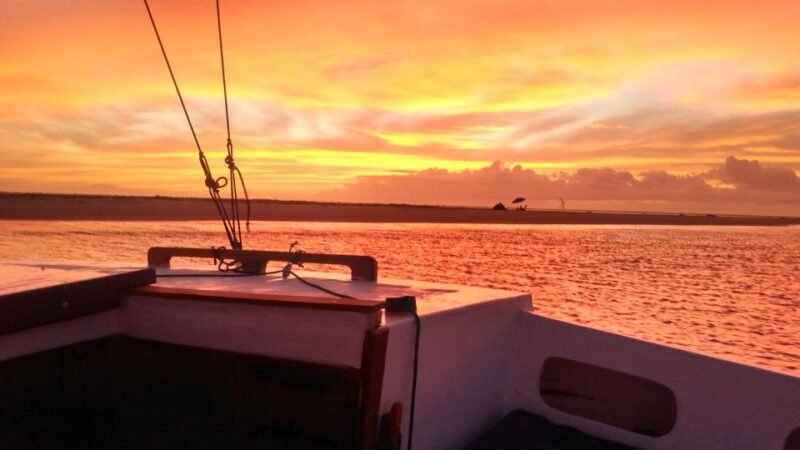 Sailboat Tour in Aracaju - Wildlife Spotting