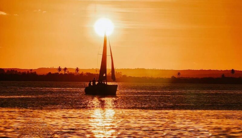 Sailboat Tour in Aracaju - Natural Scenery