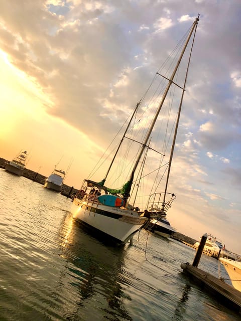 Sailboat Tour to Bahia Concha Tayrona Park - Experience Highlights