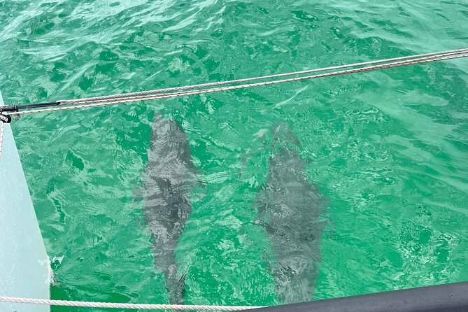 Sailing Adventures 3-Hour Activity in Destin - Inclusive Safety Equipment and Comforts