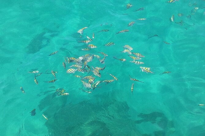 Sailing and Snorkeling Experience With Lunch From San Juan - Inclusions and Costs
