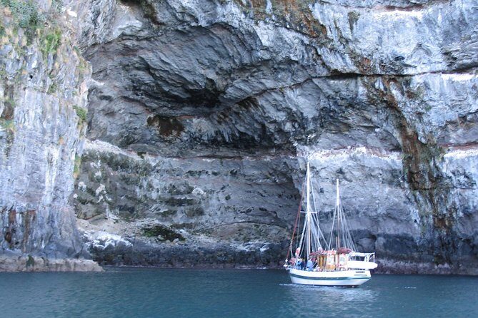 Sailing and Wildlife Tour Akaroa Fox II Sailing - The Experience and Itinerary in Detail