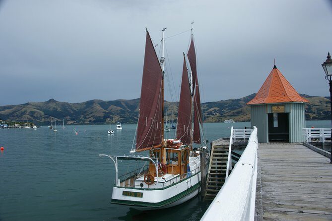 Sailing and Wildlife Tour Akaroa Fox II Sailing - The Sum Up: Who Will Love This Tour?