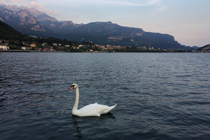 Sailing at Sunset on Lake Como: How to Escape From Daily Routine - Exploring the Enchanting Lake Como