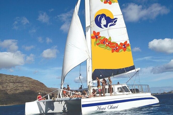 Sailing by Catamaran on the Kona Coastlines - Sighting Marine Wildlife