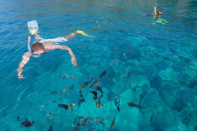 Sailing Catamaran Cruises - Additional Information
