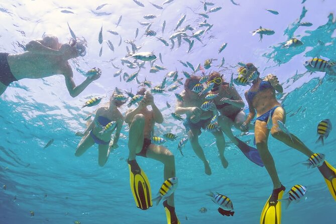 Sailing Catamaran Excursion - About Your Stay