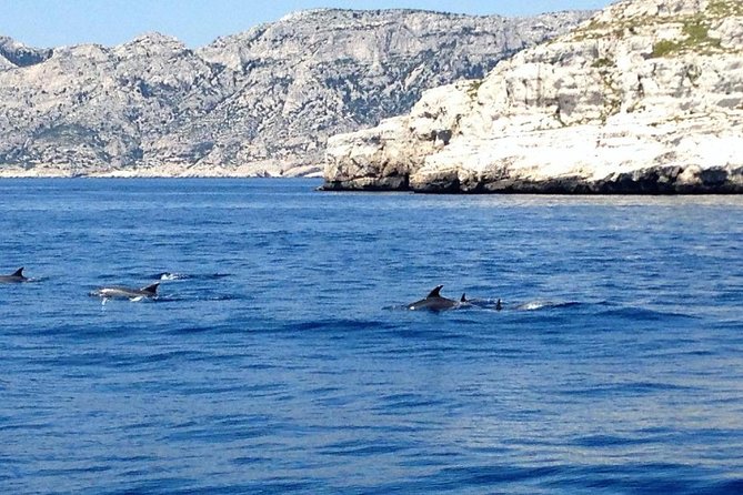 Sailing Day in the Heart of the Calanques - Beverages and Snorkeling