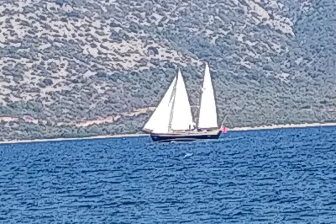 Sailing Experience With Bolero 1 Boat in Bodrum - Tour Specifics and Privacy