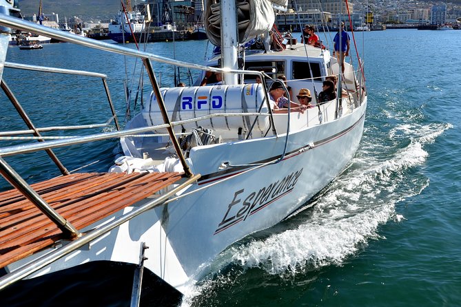 Sailing in The Bay by Catamaran (One Hour) - Recommendations and Restrictions