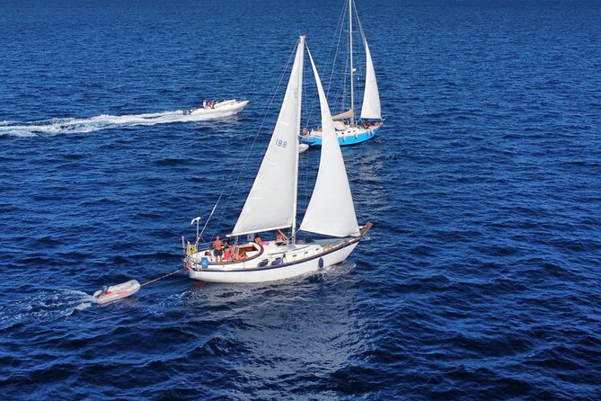 Sailing La Maddalena Archipelago With a USCG Licensed Captain. - Meeting Point and Booking
