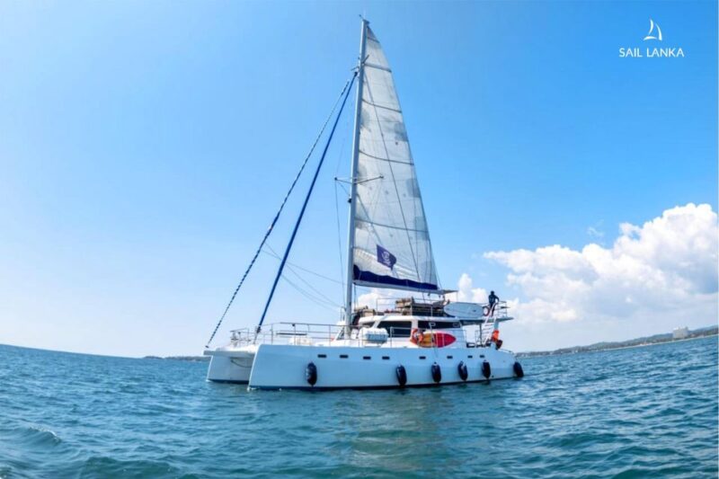 Sailing, Sailing Holidays, Tourism, Leisure, Ocean Life - Diverse Cruise Offerings