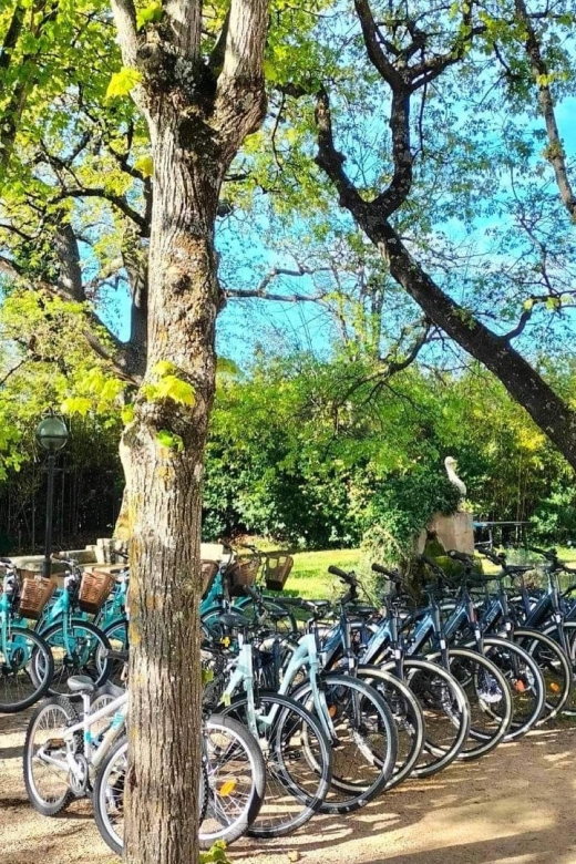 Saint-Aygulf: Bike Rental - Scenic Cycling Routes