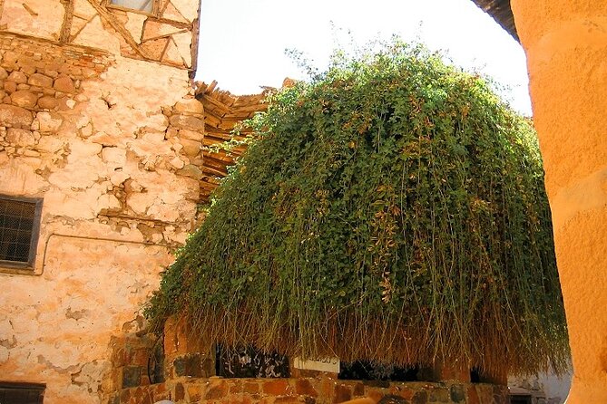 Saint Catherines Monastery & Dahab Day Tour From Sharm EL Sheikh - Booking Information and Special Offers