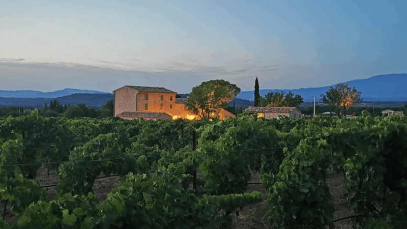 Saint-Didier: Visit a Winery & Taste Organic Wines - Winery Details