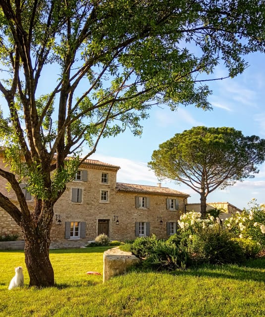 Saint-Didier: Visit a Winery & Taste Organic Wines - Guided Vineyard Tour