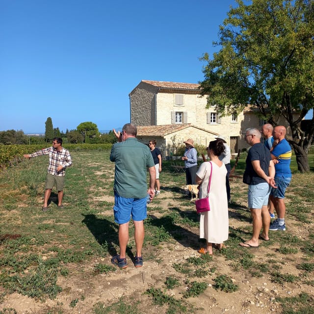 Saint-Didier: Visit a Winery & Taste Organic Wines - Wine Tasting