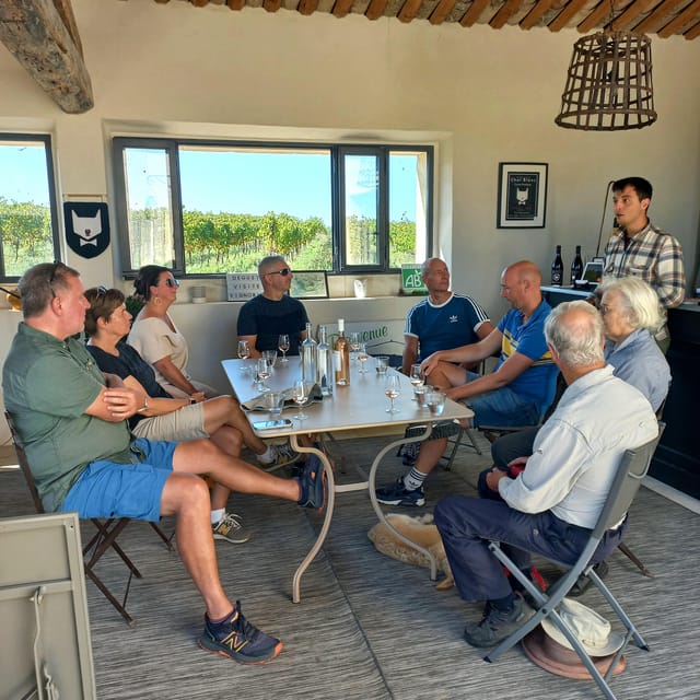 Saint-Didier: Visit a Winery & Taste Organic Wines - Tasting Notes