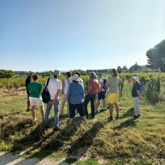 Saint-Didier: Visit a Winery & Taste Organic Wines - Visitor Guidelines