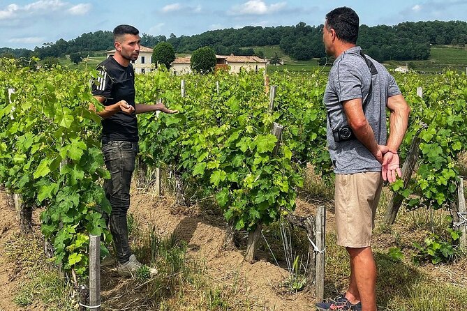 Saint-Émilion: 2 Hours - Visit of the Vineyard, the Cellar, and Tasting - Good To Know