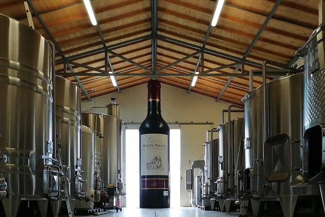 Saint-Émilion: 2 Hours - Visit of the Vineyard, the Cellar, and Tasting - Activities Included