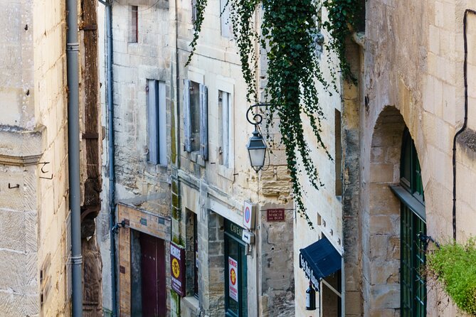 Saint-Emilion and Vineyard Walk With Wine Tasting - Meeting and End Point