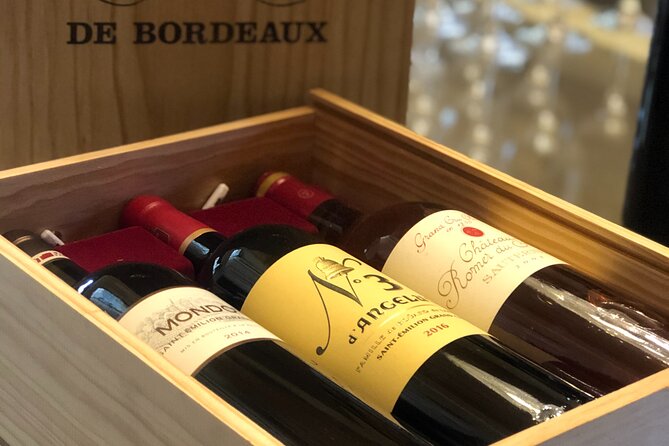 Saint-Emilion and Vineyard Walk With Wine Tasting - Accessibility and Participation