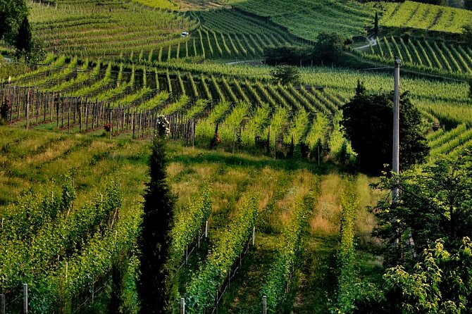 Saint-Emilion and Vineyard Walk With Wine Tasting - Wine Tasting Experience