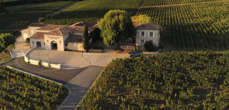 Saint-Émilion: Bordeaux Vineyard Tour and Wine Tasting - Inclusions