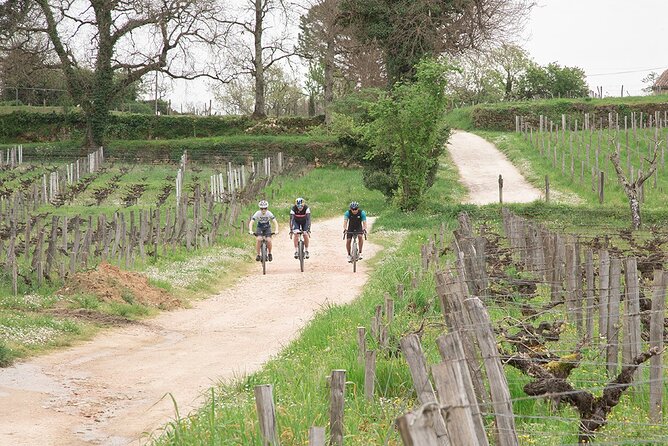 Saint-Émilion by Bike: Gravel & Wine Tasting - Tasting Wines at a Family Estate