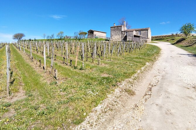 Saint-Émilion by Bike: Gravel & Wine Tasting - Navigating the Gravel Terrain