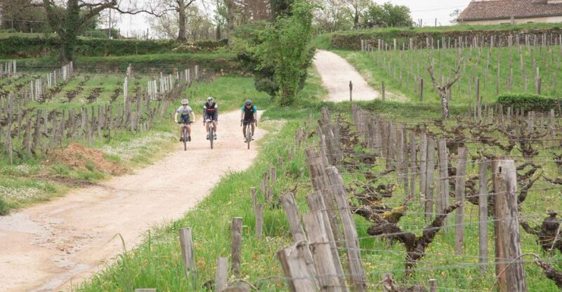 Saint-Émilion by Gravel Bike & Wine Tasting - Key Points