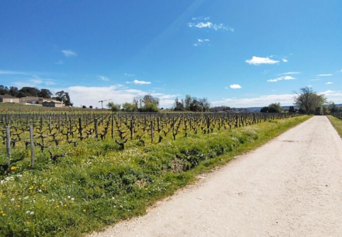 Saint-Émilion by Gravel Bike & Wine Tasting - Romanesque Highlights