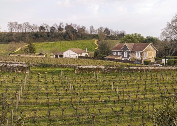 Saint-Émilion by Gravel Bike & Wine Tasting - Frequently Asked Questions