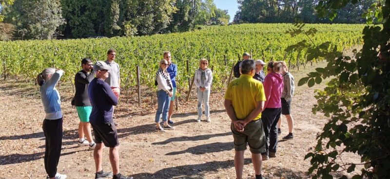 Saint-Émilion E-Bike Tour: Lunch, 2 Tastings & Transfers - Gourmet Lunch Experience