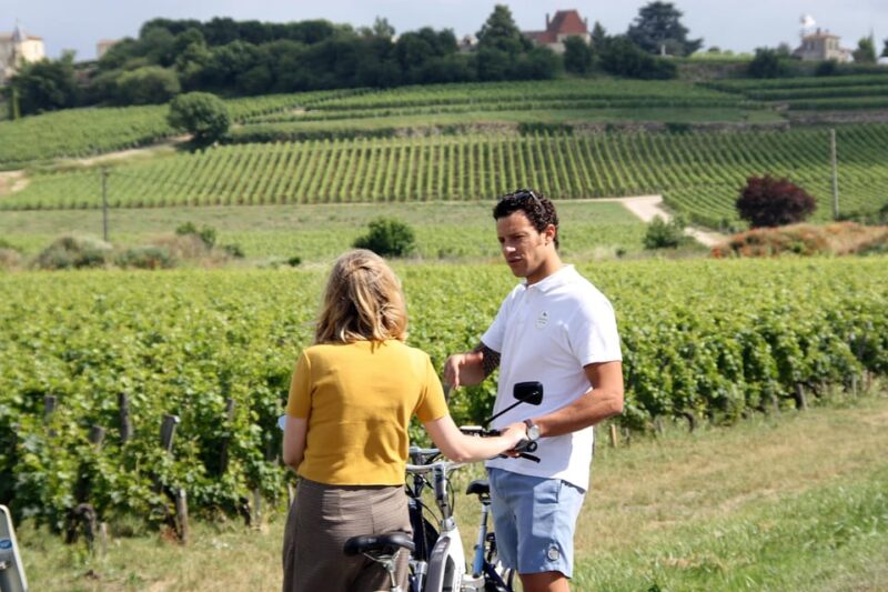 Saint-Emilion E-Bike Wine Tour - 2 Wineries & Picnic Lunch - Inclusions and Exclusions
