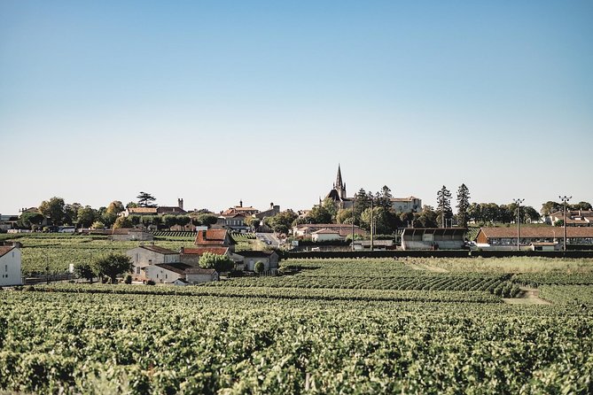 Saint-Emilion Electric Bike Day Tour With Wine Tastings & Lunch - Electric Bike Riding Experience