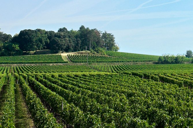 Saint-Emilion: Full-Day Tour With Tasting & Buffet Lunch - Underground Monuments