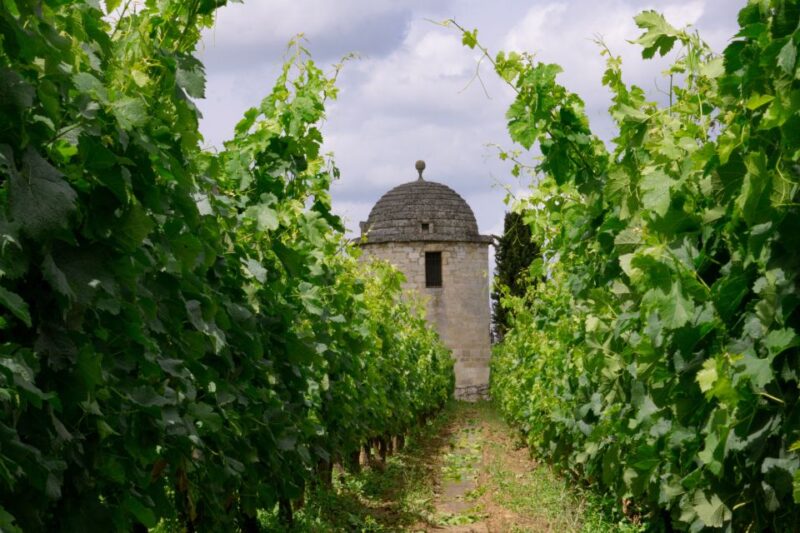 Saint-Emilion: Full-Day Tour With Tasting & Buffet Lunch - Château Balestard La Tonnelle