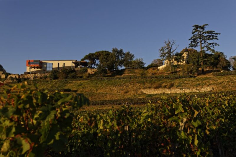 Saint-Émilion: Grand Cru Classé Winery Visit and Tasting - Itinerary Highlights