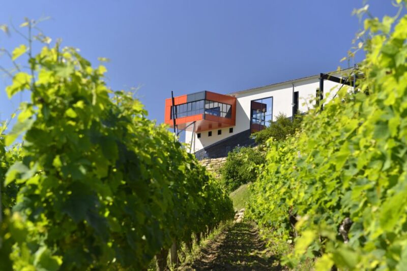 Saint-Emilion Grand Cru Classified: Gourmet Visit - Key Points