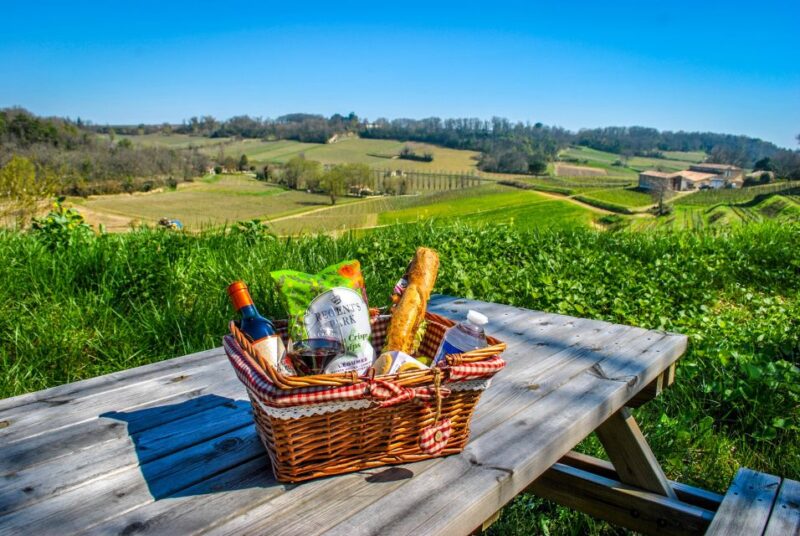 Saint-Emilion: Grand Cru Classified Guided Winery Visit & Picnic - Traditional Winemaking at Château Tour Baladoz