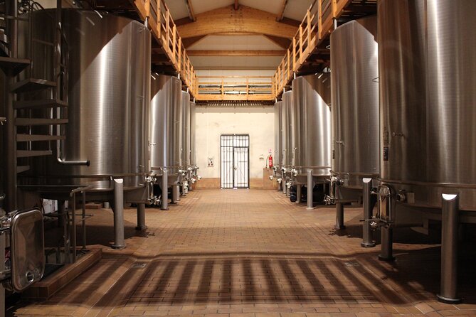 Saint Emilion Half Day Ebike and Wine Tour With Picnic. - Exclusive Winery Tastings