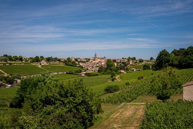 Saint Emilion Half Day Ebike and Wine Tour With Picnic. - Important Considerations