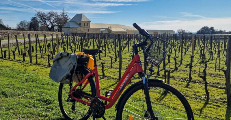 Saint Emilion Half Day Ebike and Wine Tour With Picnic - E-bike Highlights