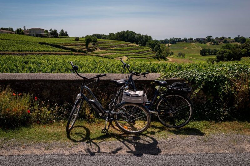 Saint Emilion Half Day Ebike and Wine Tour With Picnic - Chateau Visit