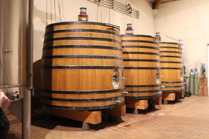 Saint Emilion Half Day Ebike and Wine Tour With Picnic - Inclusions