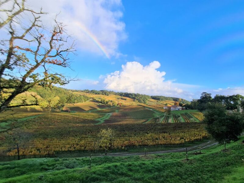 Saint-Emilion Morning Wine Tour - Winery & Tastings - Grand Cru Winery